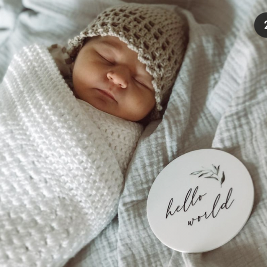 Olive Leaf Milestone Plaques