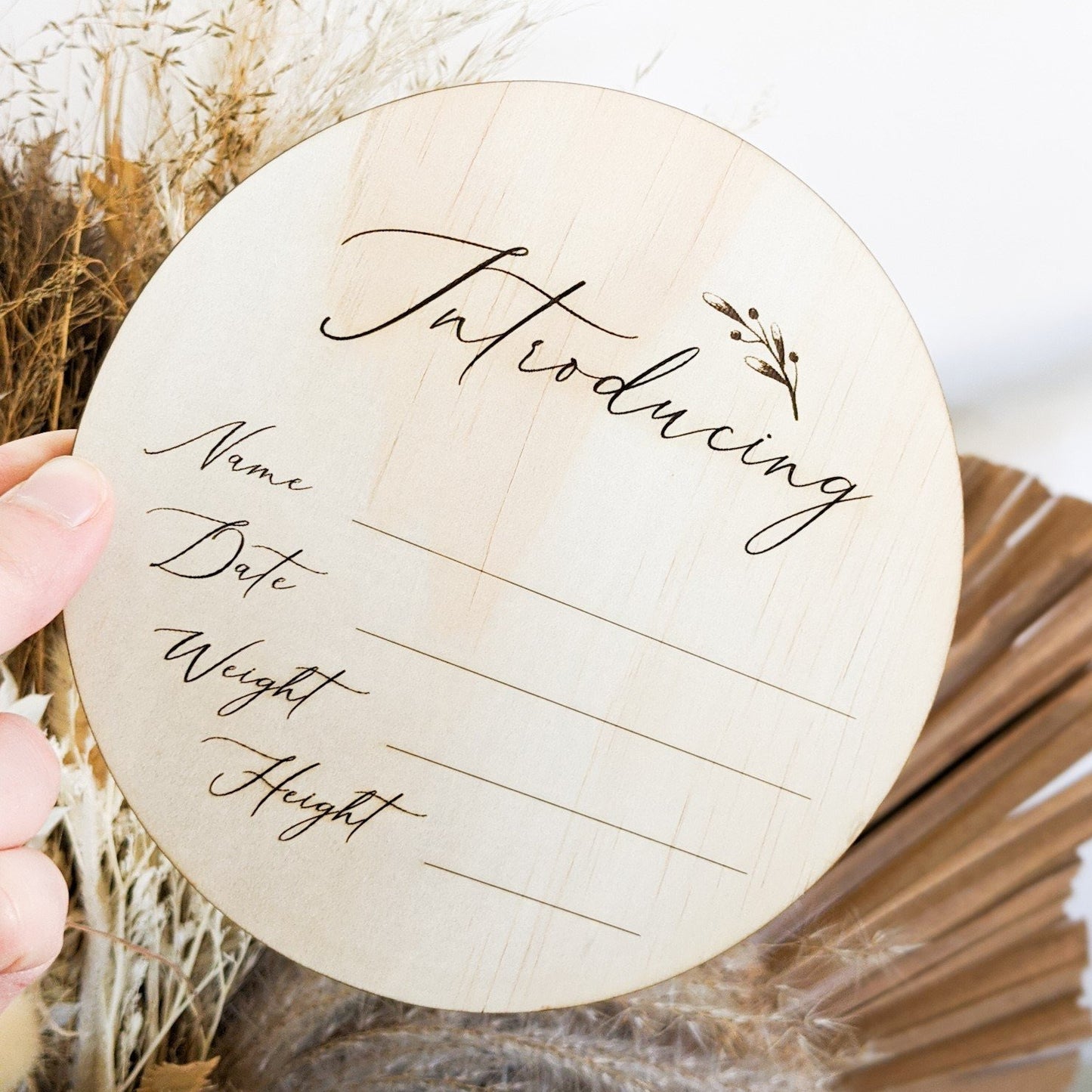 Introducing Baby Plaque