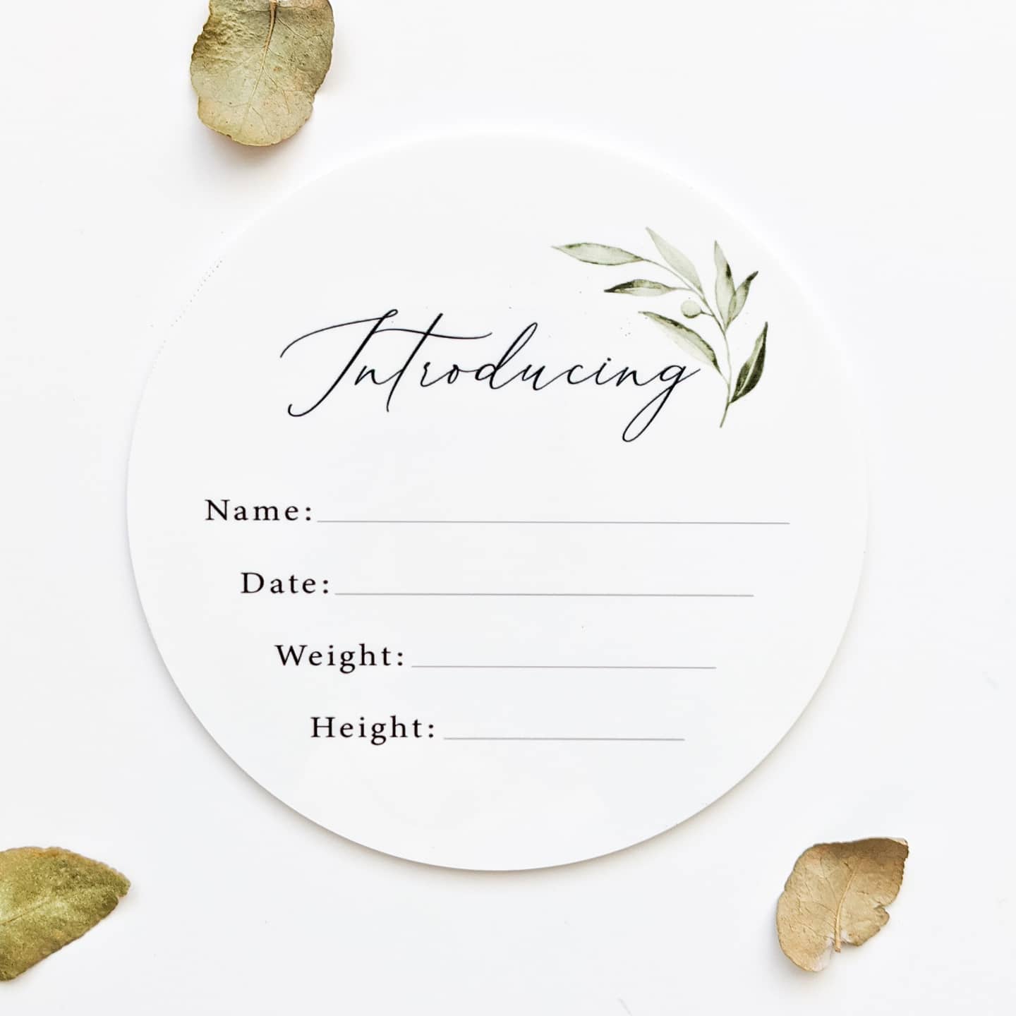 Olive Leaf Birth Announcement